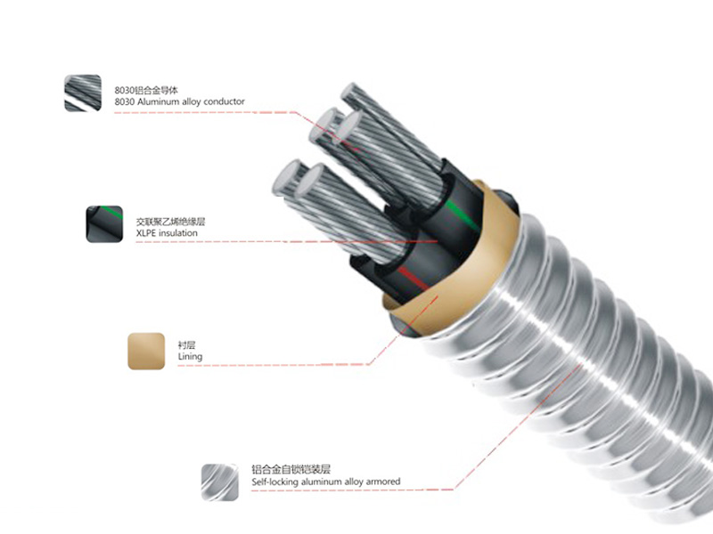 Aluminum alloy conductor XLPE insulated cable with rated voltage of 0.6/1kv